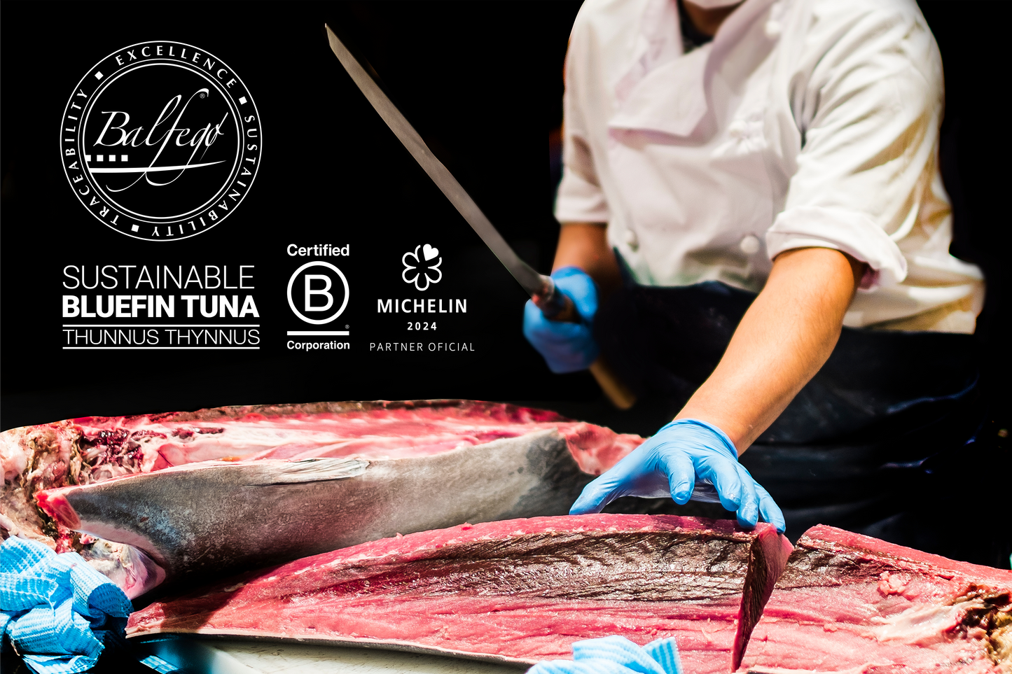 Celeplate Pass Sale: Upgraded Blue Fin Sashimi Tuna Chutoro 全新升级刺身级蓝鳍金枪鱼中腹