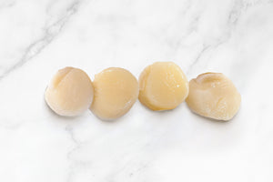 Celeplate Pass Sale: Japanese Sashimi King Scallops 刺身级日本扇贝贝柱