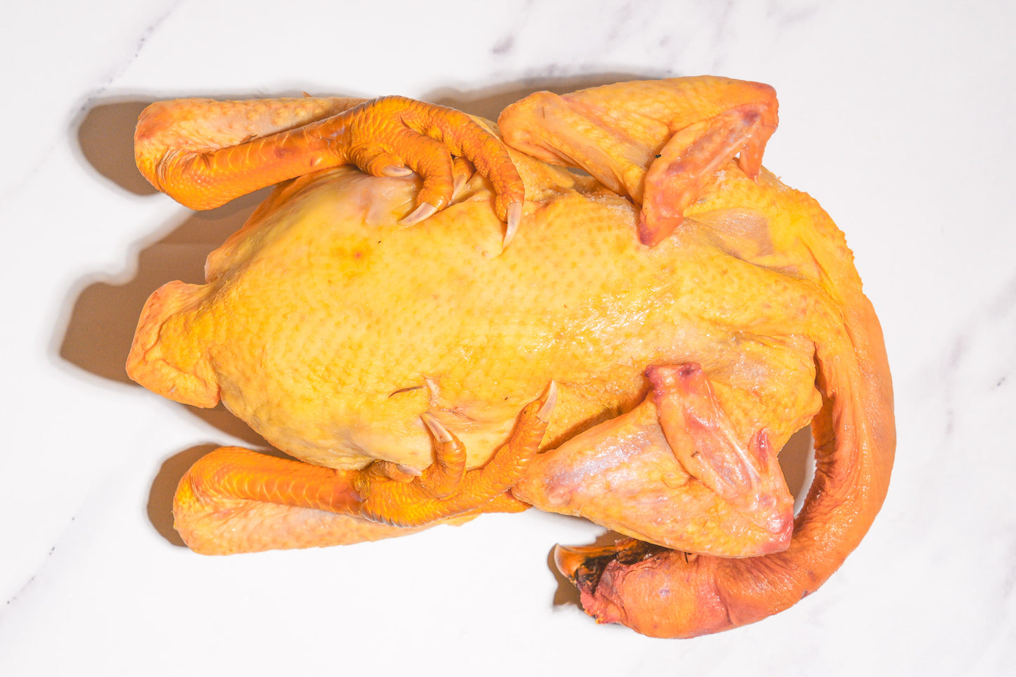 Celeplate Pass Sale: Slow Raised Golden Chicken 慢养黄金整鸡