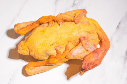 Slow Raised Golden Chicken 慢养黄金整鸡