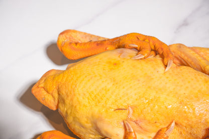 Slow Raised Golden Chicken 慢养黄金整鸡