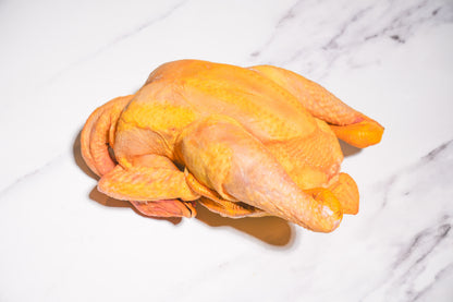Slow Raised Golden Chicken 慢养黄金整鸡