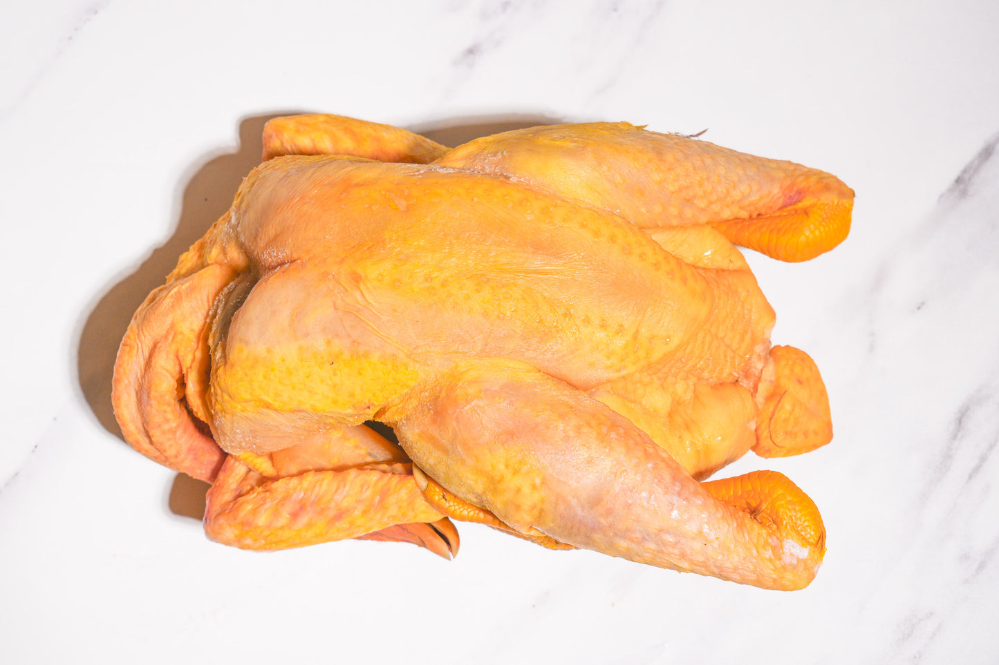 Celeplate Pass Sale: Slow Raised Golden Chicken 慢养黄金整鸡