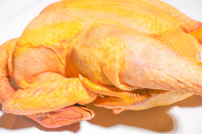 Slow Raised Golden Chicken 慢养黄金整鸡