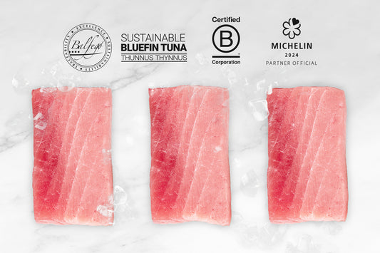 Upgraded Blue Fin Sashimi Tuna Chutoro Bulk-buy 全新升级刺身级蓝鳍金枪鱼中腹家庭裝