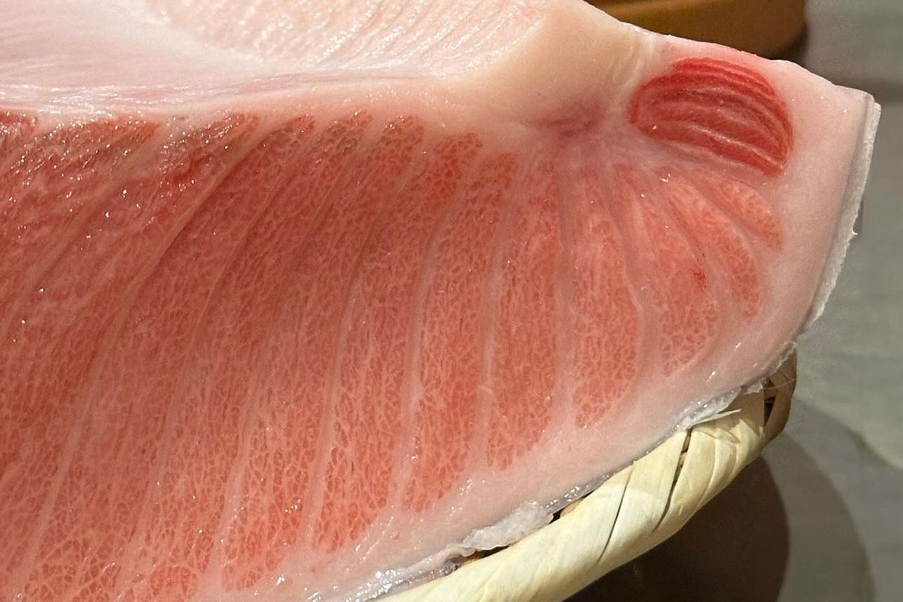 Blue Fin Tuna Otoro Sashimi Ready 刺身級藍鰭鮪魚大腹