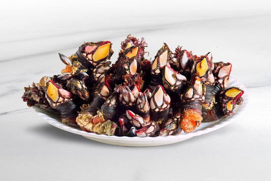 Live Wild Caught Goose Barnacles 西班牙鹅颈藤壶