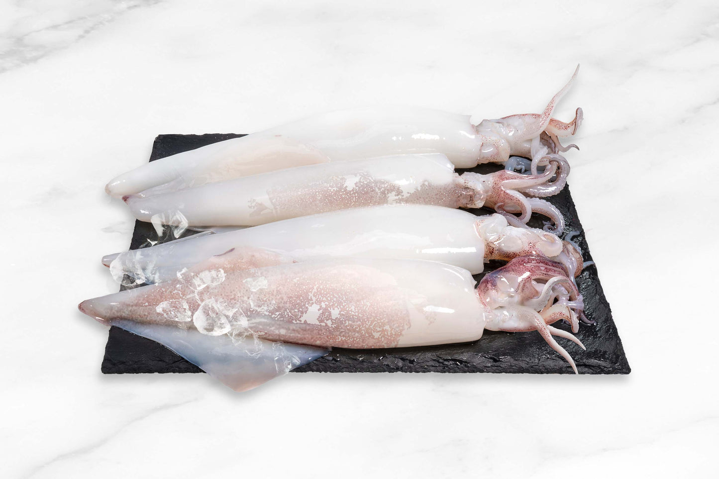 Cleaned Wild-Caught Squid 野生歐洲筆管魷魚