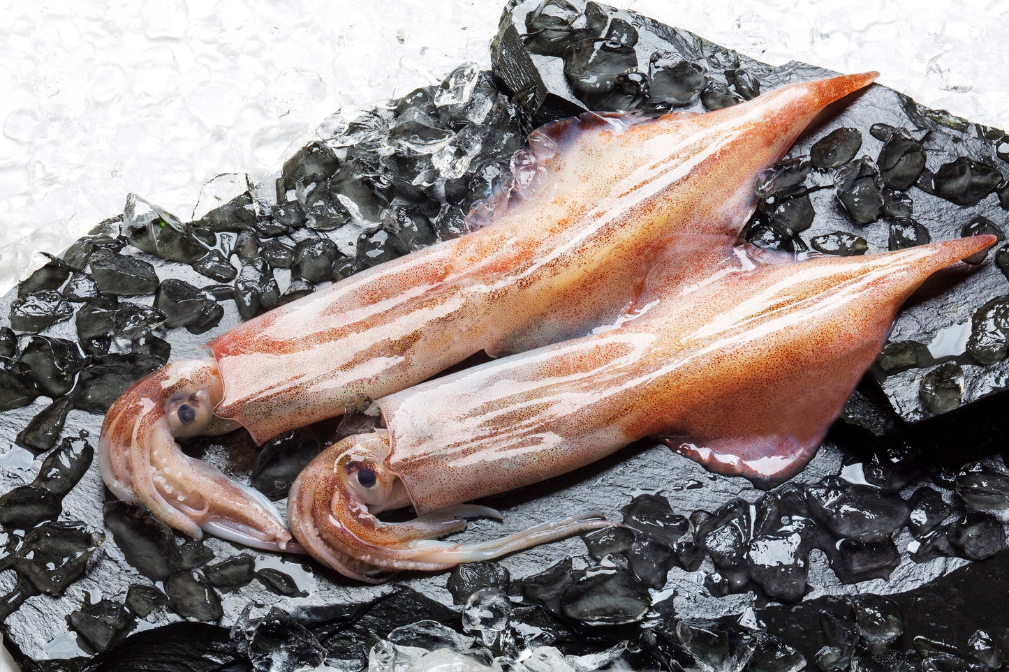 Cleaned Wild-Caught Squid 野生歐洲筆管魷魚