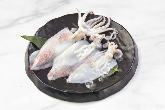 Cleaned Wild-Caught Squid 野生欧洲笔管鱿鱼