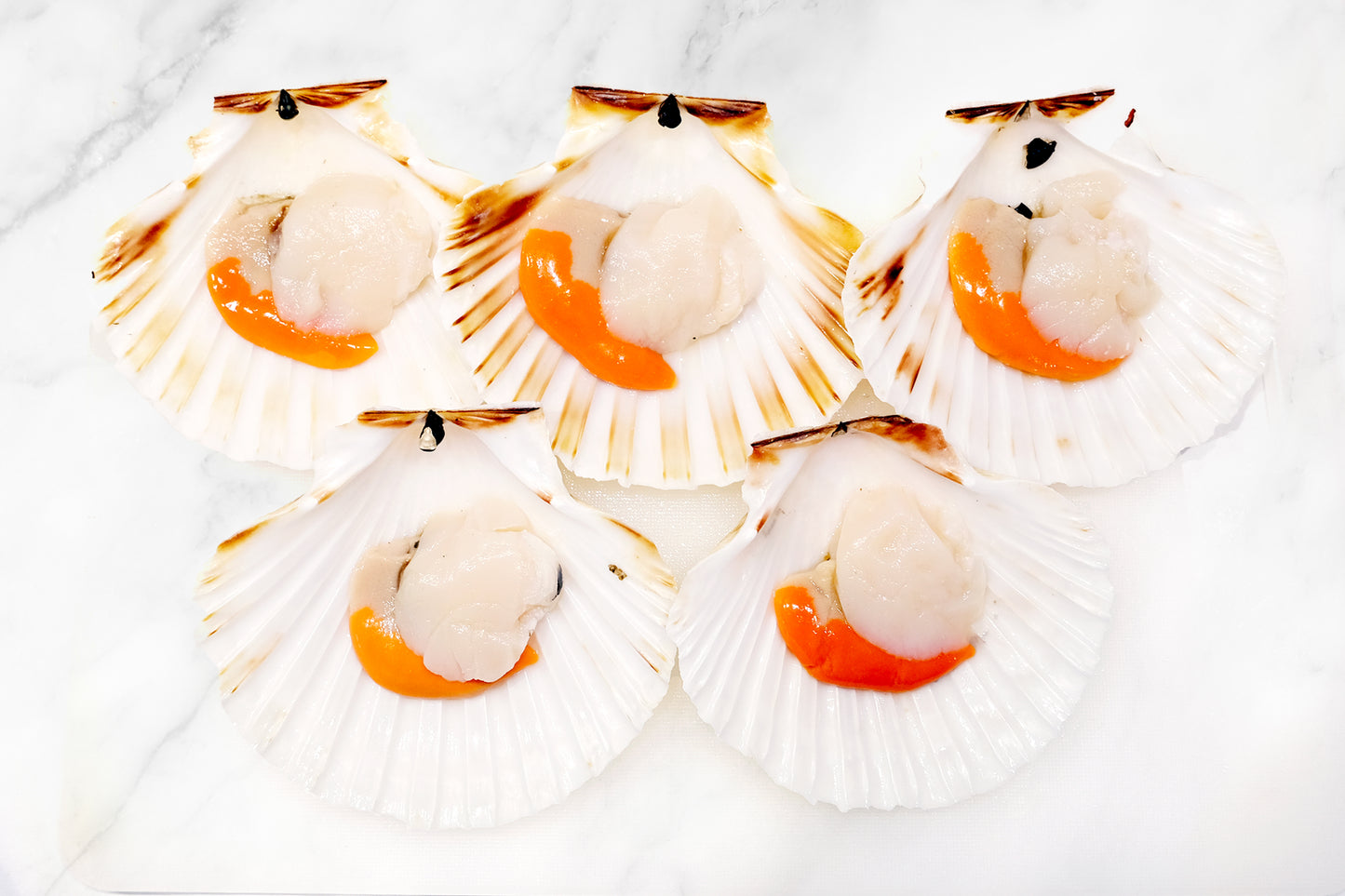 Wild-Caught Scottish King Scallops 野生苏格兰带黄扇贝