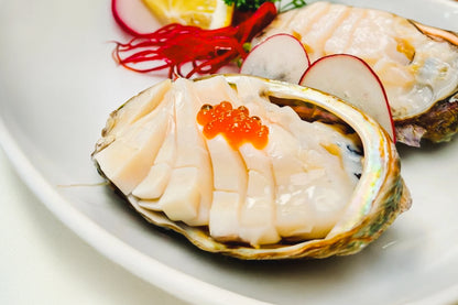 Australian Abalone 澳大利亚青边鲍鱼