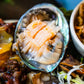 Australian Abalone 澳大利亚青边鲍鱼