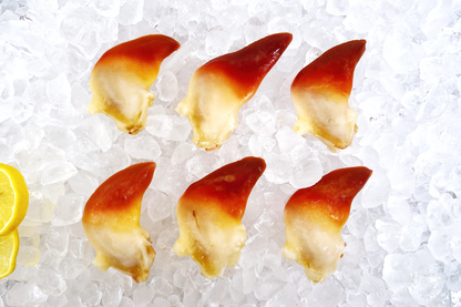 Hokkigai Sashimi Surf Clam 刺身北极贝