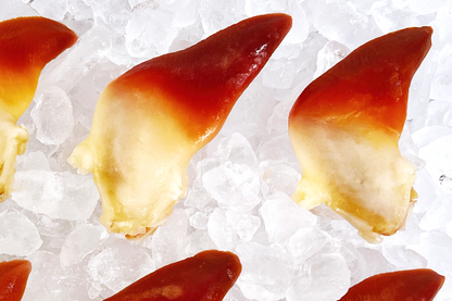 Hokkigai Sashimi Surf Clam 刺身北极贝