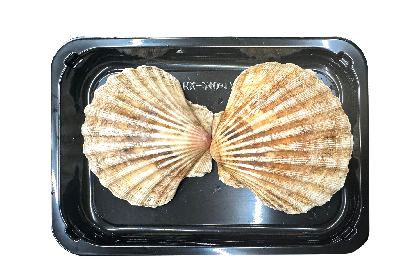 XXL Wild-Caught King Scallops 大号野生苏格兰带黄扇贝