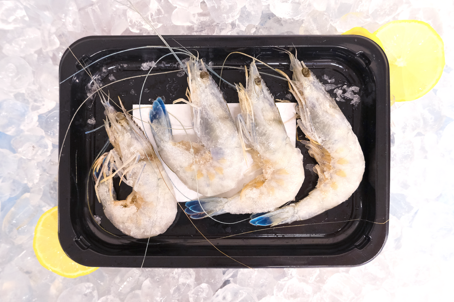 French Sashimi Blue Prawn 刺身級法國藍蝦