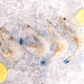 French Blue Prawn 刺身级法国蓝虾