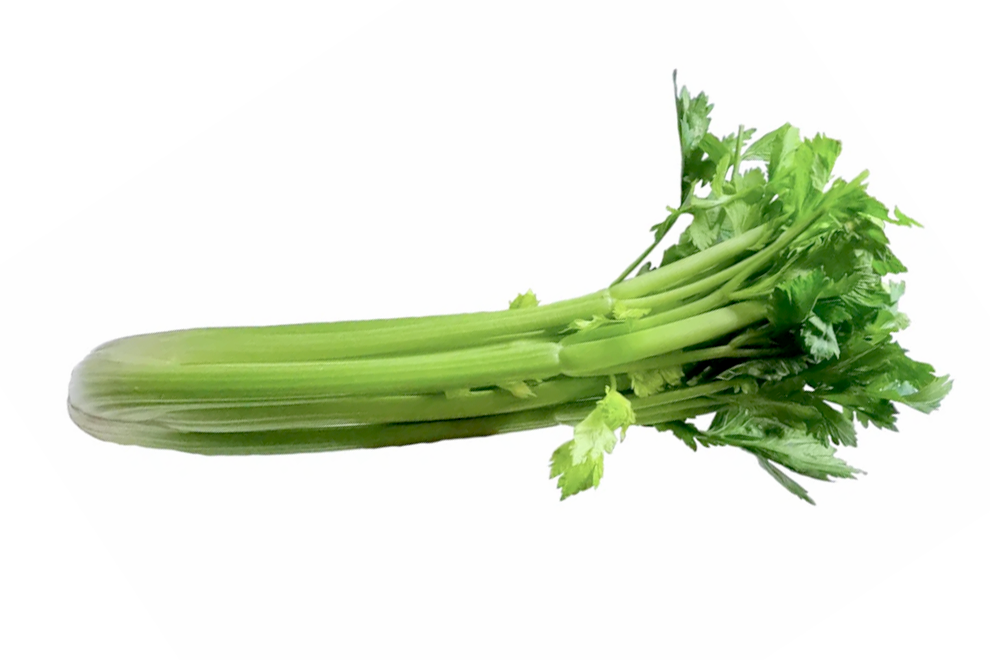 Celery Bunch 芹菜