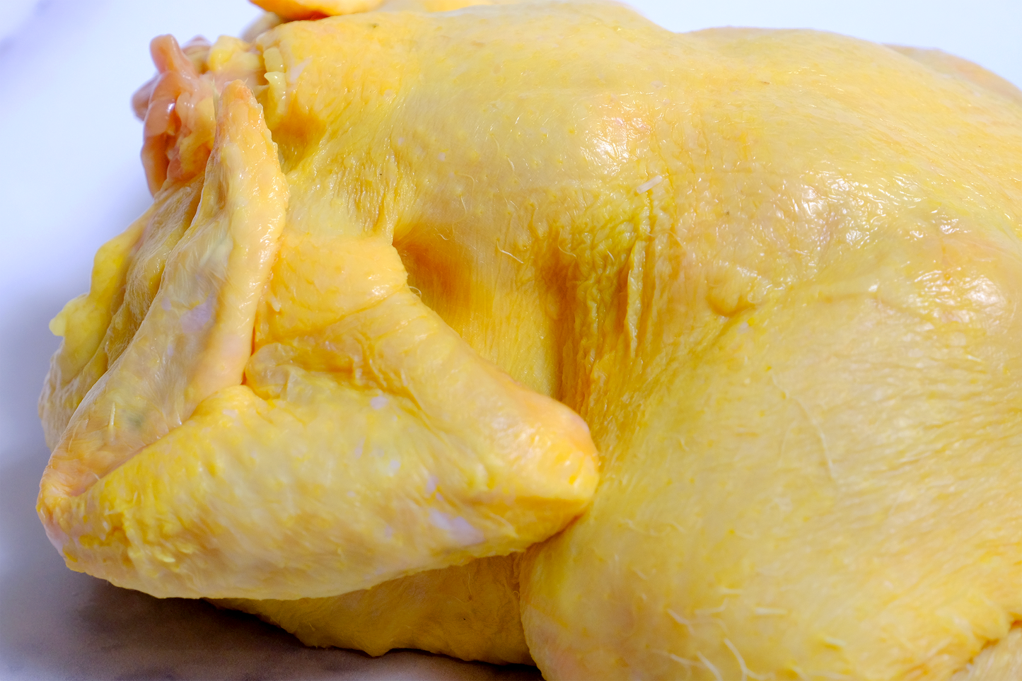 Fresh Golden Whole Chicken 新鲜谷饲黄油整鸡 1.4kg