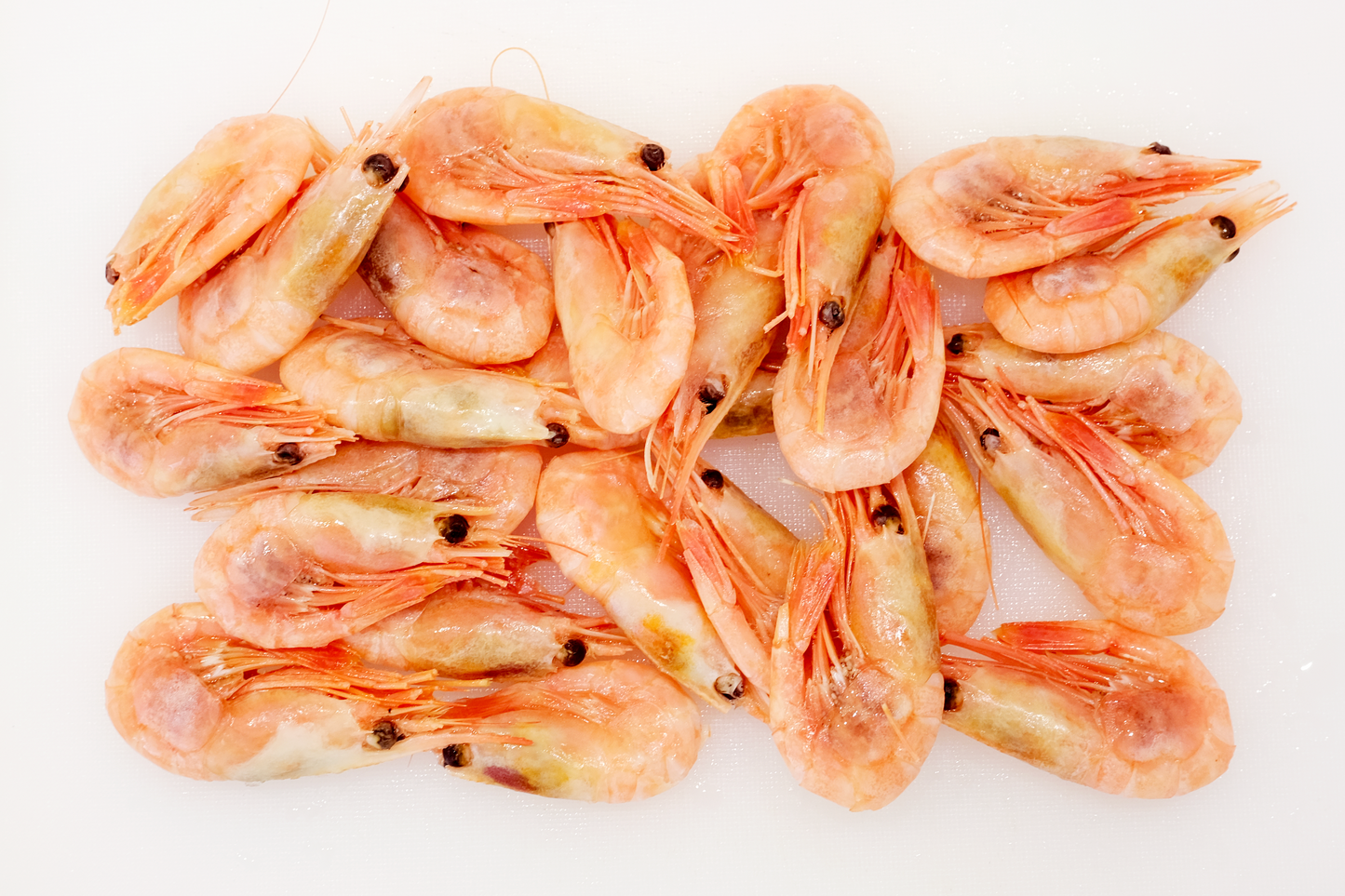 Wild-Caught Cooked Canadian Prawns 野生熟凍加拿大甜蝦