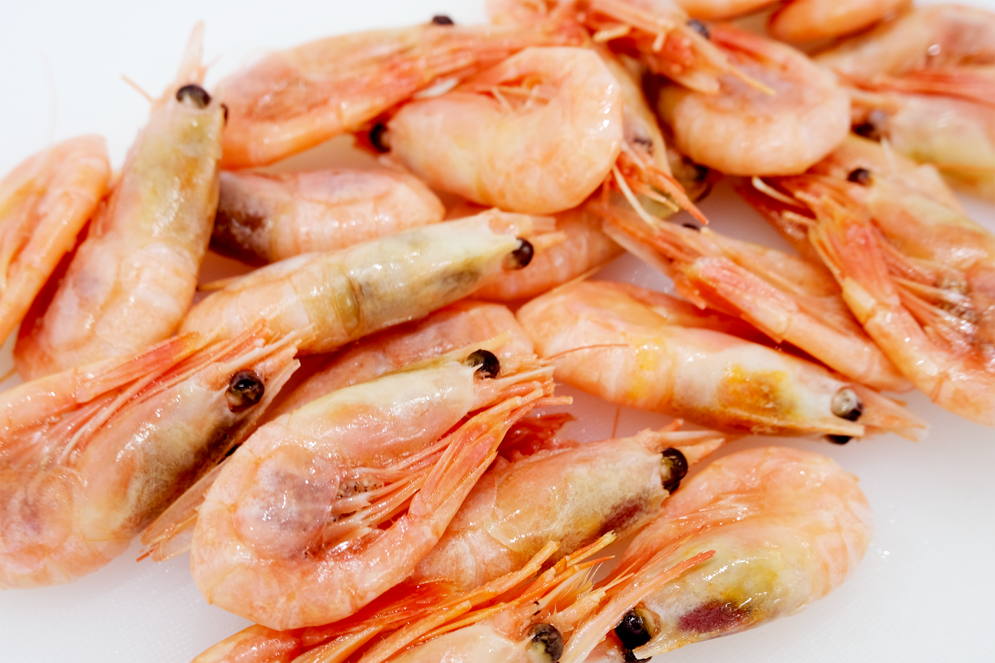 Wild-Caught Cooked Canadian Prawns 野生熟冻加拿大甜虾