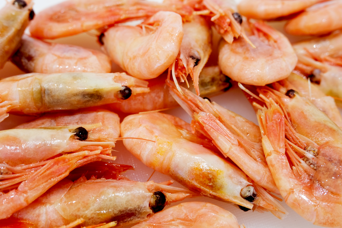 Celeplate Pass Sale: Wild-Caught Canadian Prawns 野生熟冻加拿大甜虾