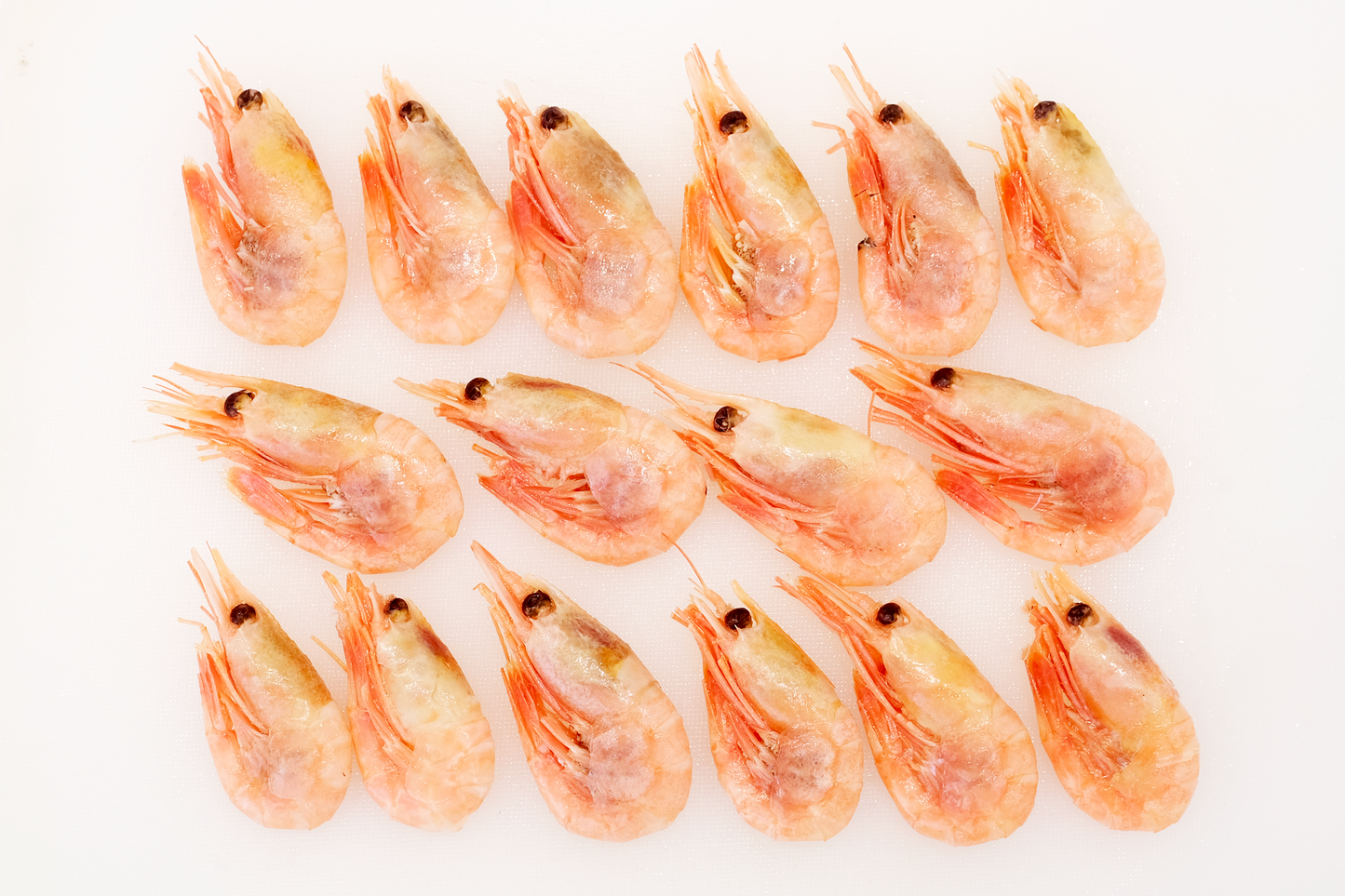 Celeplate Pass Sale: Wild-Caught Canadian Prawns 野生熟冻加拿大甜虾