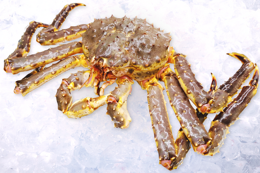 Pre-order Live Norwegian King Crab £145/KG 仅预定 活挪威帝王蟹