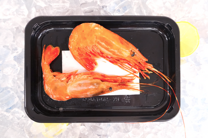 Large Sashimi Botan Ebi 刺身級牡丹蝦