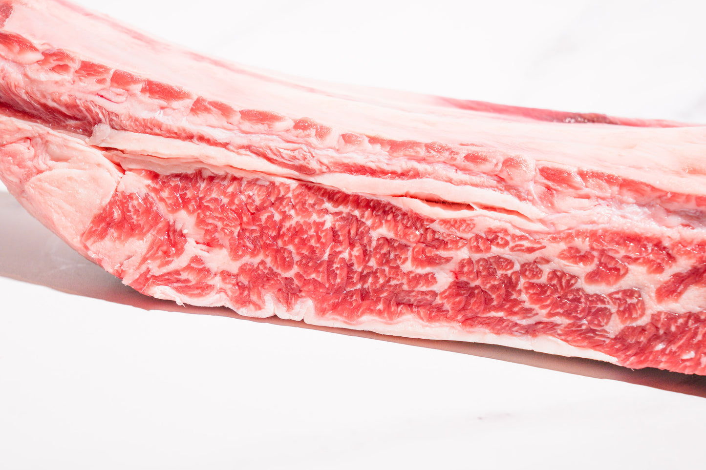 Fresh Short Ribs BMS 4 Block 新鲜整切雪花牛小排