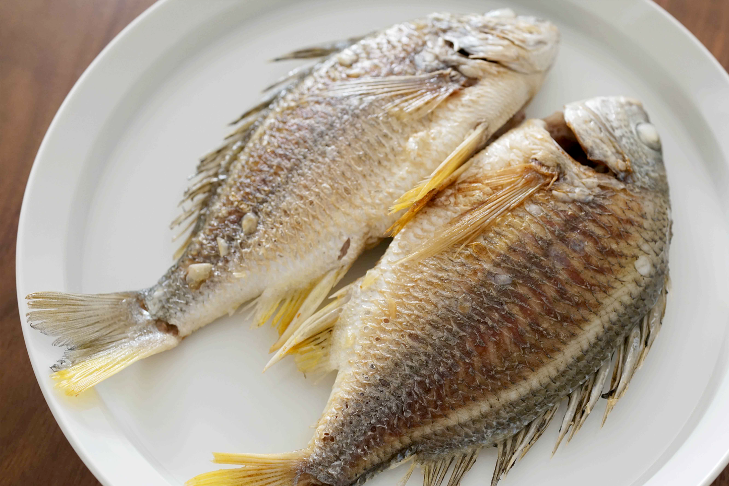 Large Wild Caught Golden Bream 大号野生黄脚立