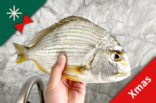 Xmas Pre-Sale: Large Wild Caught Golden Bream 大号野生黄脚立