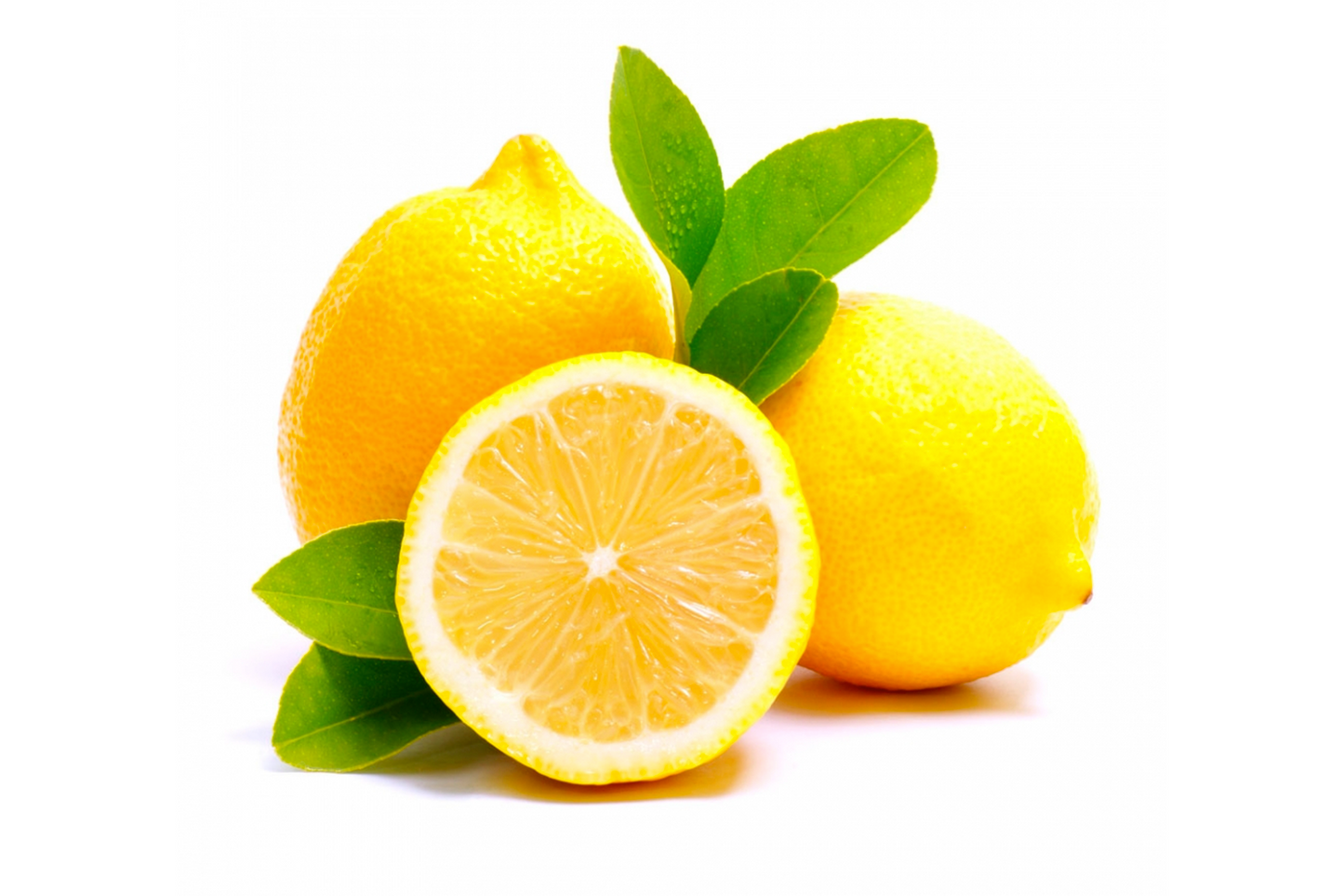 Fresh Lemon 柠檬