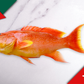 Xmas Pre-Sale: Wild Caught Leopard Grouper 野生燕星斑