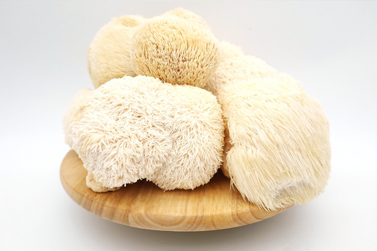 Fresh Lion's Mane Mushroom 新鮮特級猴頭菇