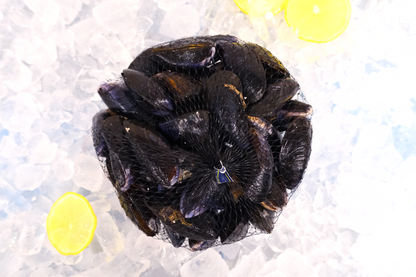 Live Cornish Mussels 康沃爾郡活青口貝