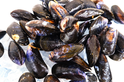 Live Cornish Mussels 康沃爾郡活青口貝