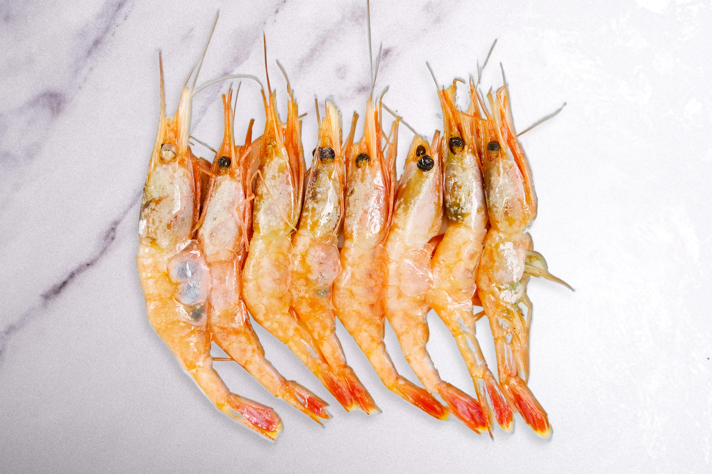 Norway Wild Whole Ama Ebi Sweet Prawn 刺身挪威野生甜虾