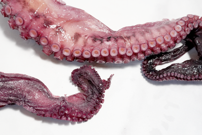 Cooked Octopus Tentacles 熟凍章魚腿
