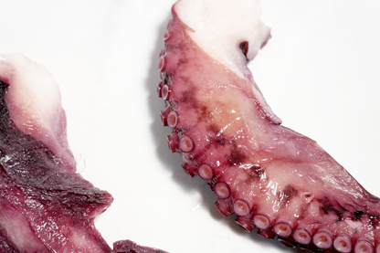 Cooked Octopus Tentacles 熟凍章魚腿