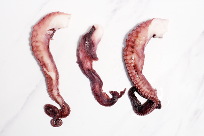 Cooked Octopus Tentacles 熟凍章魚腿