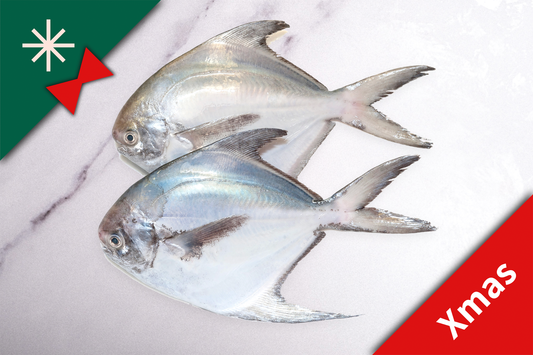 Xmas Pre-Sale: Large Wild Caught Silver Pomfret 大号野生银鲳鱼