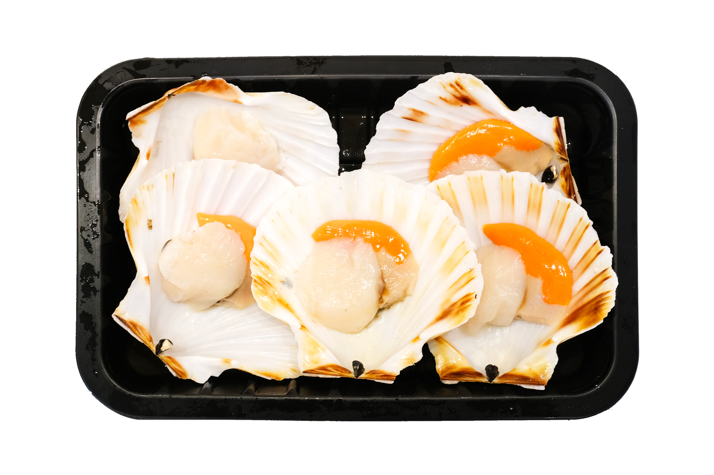 Wild-Caught Scottish King Scallops 野生蘇格蘭帶黃扇貝