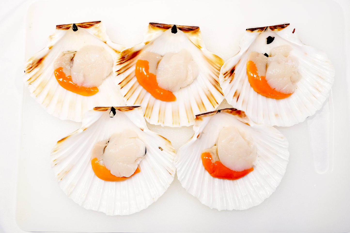 Wild-Caught Scottish King Scallops 野生苏格兰带黄扇贝