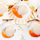 Wild-Caught Scottish King Scallops 野生苏格兰带黄扇贝