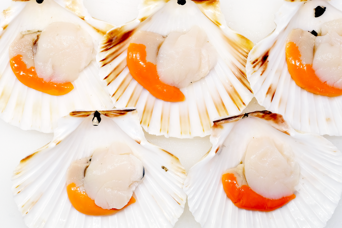 Wild-Caught Scottish King Scallops 野生蘇格蘭帶黃扇貝