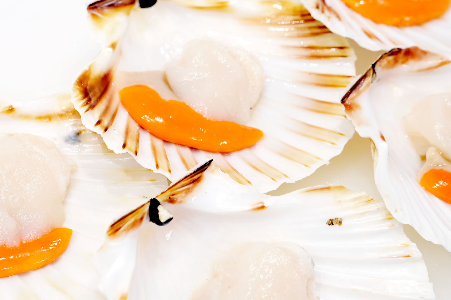 Wild-Caught Scottish King Scallops 野生蘇格蘭帶黃扇貝