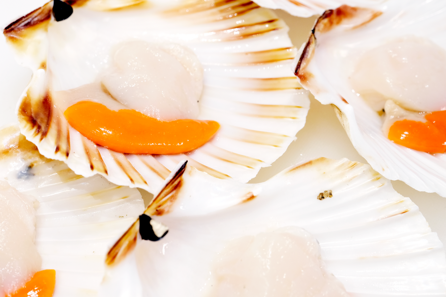 Wild-Caught Scottish King Scallops 野生苏格兰带黄扇贝