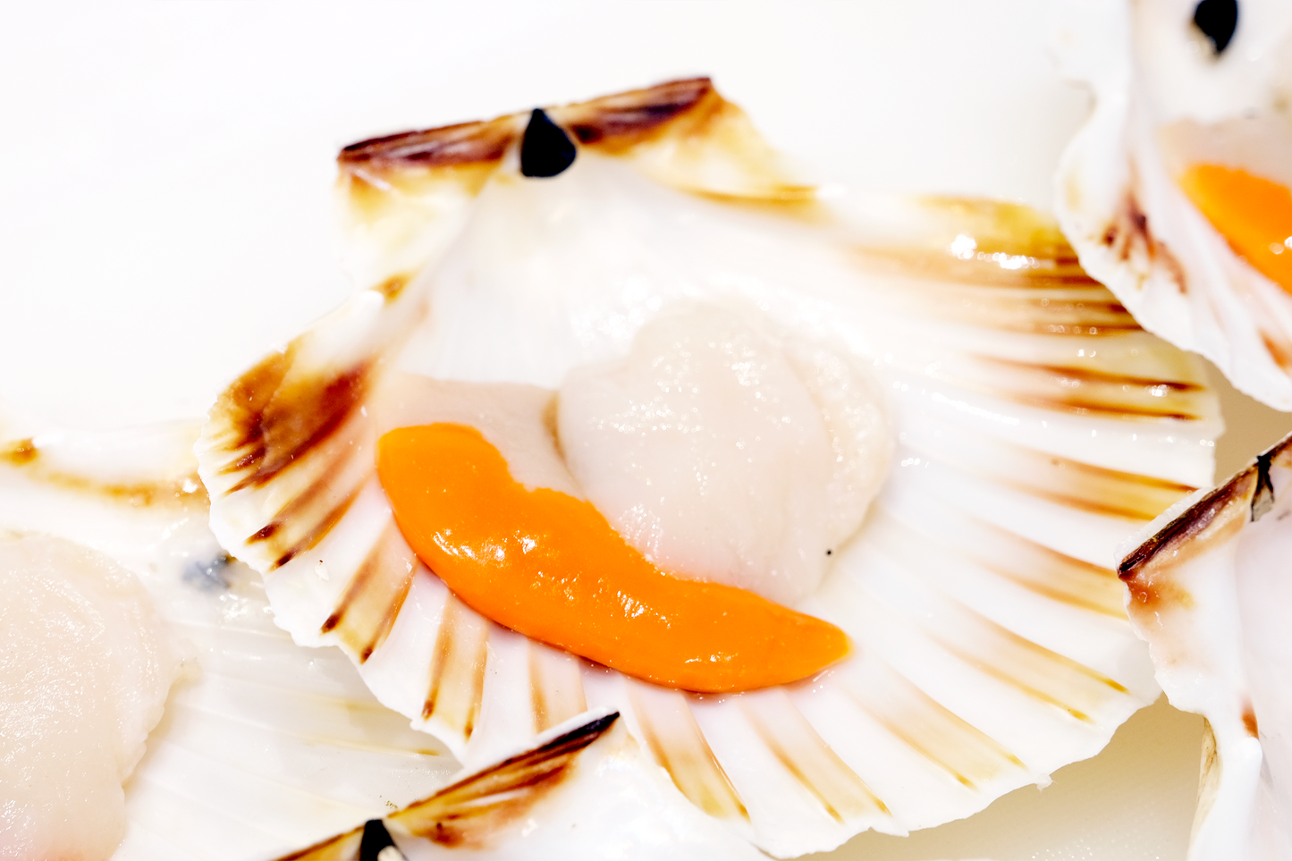 Wild-Caught Scottish King Scallops 野生苏格兰带黄扇贝